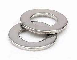 Inconel 600 Washer